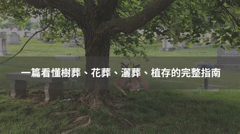 樹葬 風水|影／環保葬／風水師：樹葬生魂若不安寧 恐影響後代子孫運勢